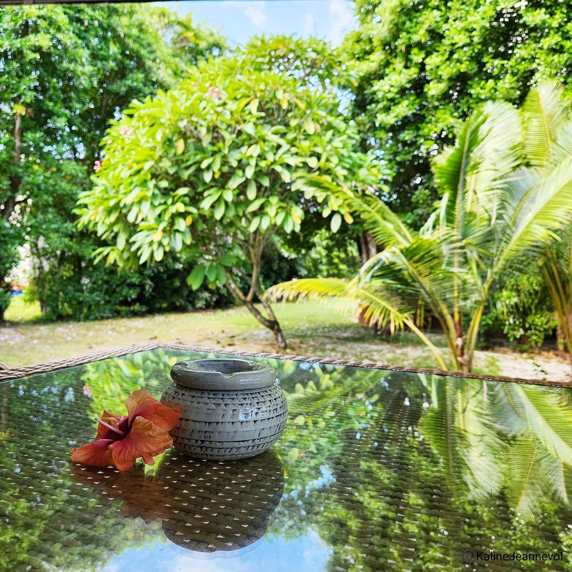 Surf Tropical Villa Takamaka Szarvas-sziget Szoba fotó